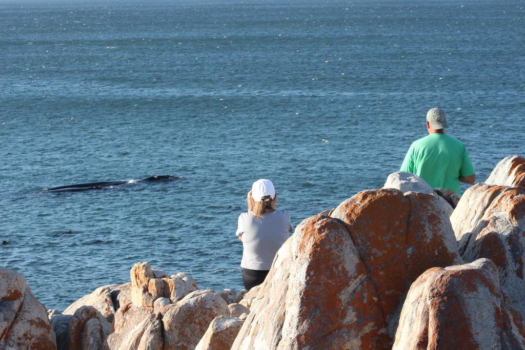 Whaletale Lägenhet De Kelders Exteriör bild