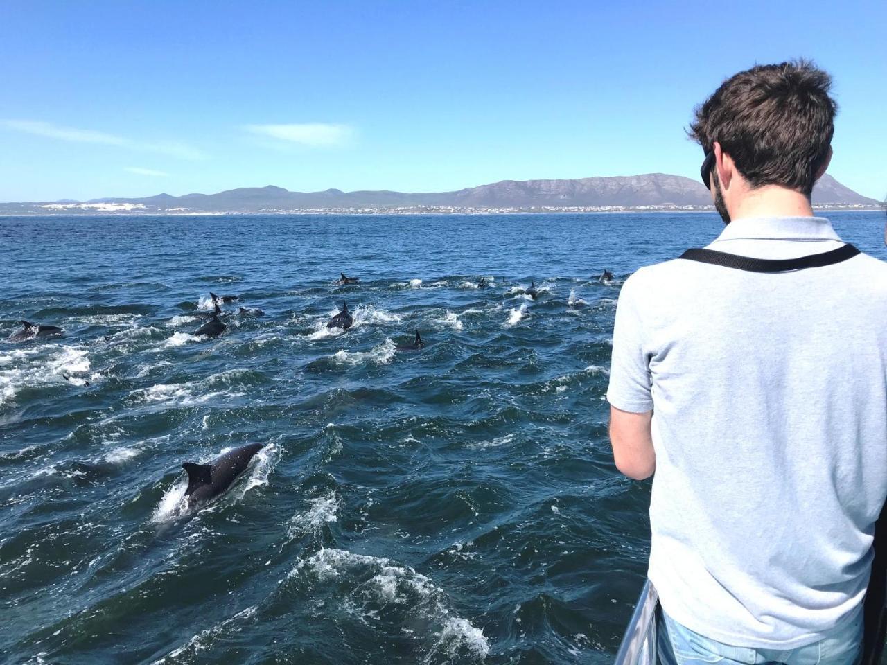 Whaletale Lägenhet De Kelders Exteriör bild